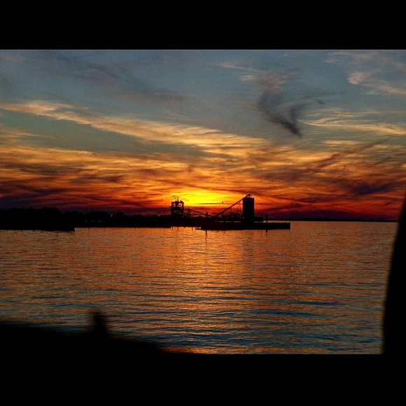 Meet your Posher, Savannah - Picture 1 of 1